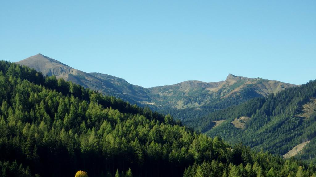 Chalet Hamito Hohentauern Oda fotoğraf